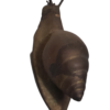 Snail